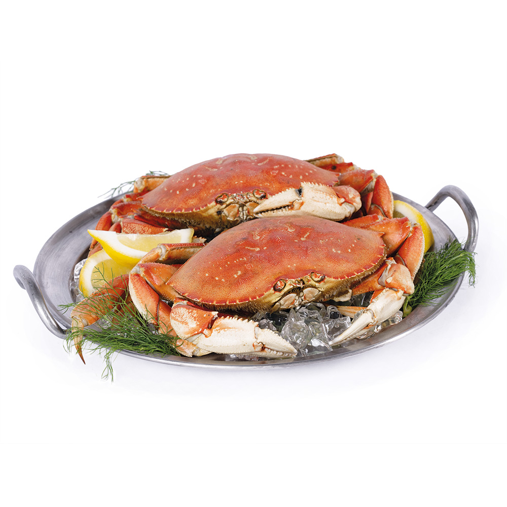 Whole Dungeness Crab